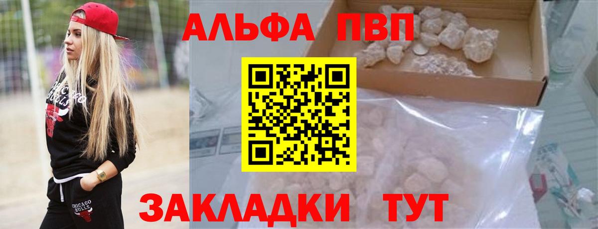 Альфа ПВП СК Сокол