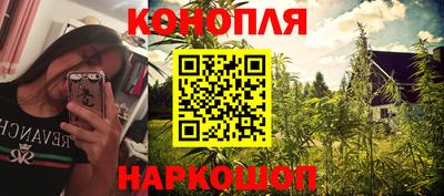 каннабис Новозыбков