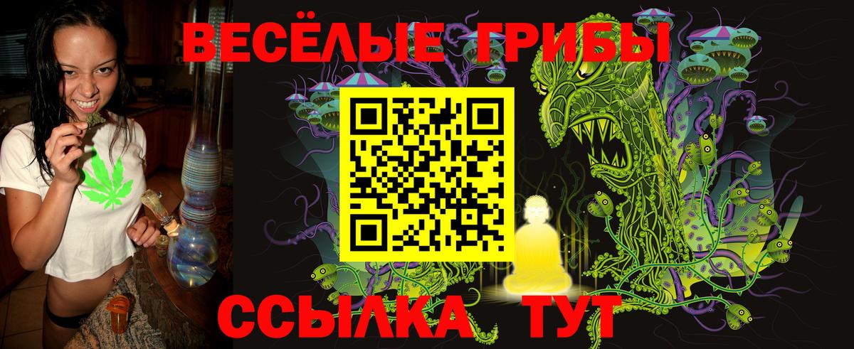 Псилоцибиновые грибы прущие грибы  Вход с VPN  Сокол 